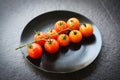 Ripe red tomato vine for cooked food on the table - Branch of fresh tomatoes on black plate with dark background Royalty Free Stock Photo