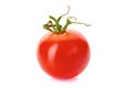Ripe red tomatoe on white Royalty Free Stock Photo