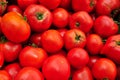 Ripe Red Tomatoes Royalty Free Stock Photo