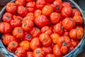 Ripe of red tomatoes in the basket on farmer market Royalty Free Stock Photo