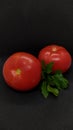 Ripe red tomatoes on a black background Royalty Free Stock Photo