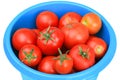 Ripe red tomatoes in a blue plastic bucket are isolated on a white background Royalty Free Stock Photo