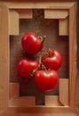 Ripe red tomatoes on a branch on canvas in a wooden frame Royalty Free Stock Photo