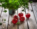 Ripe red tomatoes and a bunch of green cilantro are on an unpainted wooden table. Royalty Free Stock Photo