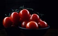 Ripe red tomatoes in a ceramic bowl Royalty Free Stock Photo
