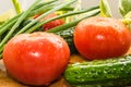 Ripe red tomatoes, green cucumbers, green onion feathers are covered with large drops of water Royalty Free Stock Photo