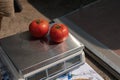 Ripe red tomatoes on a scale Royalty Free Stock Photo