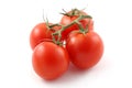 Ripe red tomatoes on the vine. Royalty Free Stock Photo