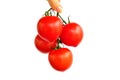 Ripe red tomatoes on white background