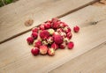 Ripe red wild meadow strawberry or Fragaria viridis Royalty Free Stock Photo