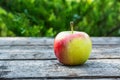 Ripe red and yellow apple on wooden table. Apple in garden. Vegetarian concept. Autumn harvest. Still life food. Royalty Free Stock Photo