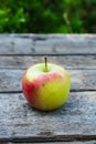 Ripe red and yellow apple on wooden table. Apple in garden. Vegetarian concept. Autumn harvest. Still life food. Royalty Free Stock Photo