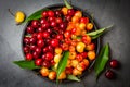 Ripe red and yellow cherry on black plate. Top view Royalty Free Stock Photo