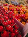 Ripe red and yellow cherry tomatoes for sale on wooden racks at a market Royalty Free Stock Photo