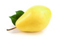 Ripe red yellow pear with leaves fruits isolated on white background Royalty Free Stock Photo