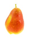 Ripe red and yellow pear with water drops. Royalty Free Stock Photo