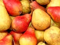 Ripe red and yellow pears