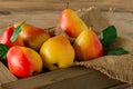 ripe red and yellow pears in a wooden box close-up. background with ripe pears and green leaves Royalty Free Stock Photo