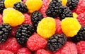 Ripe red and yellow raspberry mulberry Royalty Free Stock Photo