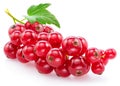 Ripe redcurrant berries on white background. Close-up Royalty Free Stock Photo