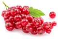 Ripe redcurrant berries on white background. Close-up Royalty Free Stock Photo