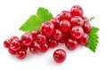 Ripe redcurrant berries on white background. Close-up Royalty Free Stock Photo