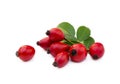 Ripe rose hip