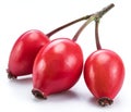 Ripe rose-hips isolated on a white background. Close-up Royalty Free Stock Photo