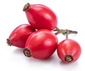 Ripe rose-hips isolated on a white background. Close-up Royalty Free Stock Photo