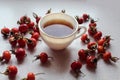 Ripe rosehip fruit with a Cup of tea on a gray background, close-up, side view Royalty Free Stock Photo