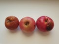 ripe rotten apple on white background, natural organic fruit