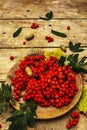 Ripe rowan berries and cherry plum fruits on round plate Royalty Free Stock Photo