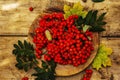 Ripe rowan berries and cherry plum fruits on round plate Royalty Free Stock Photo