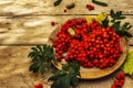 Ripe rowan berries and cherry plum fruits on round plate Royalty Free Stock Photo