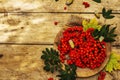 Ripe rowan berries and cherry plum fruits on round plate Royalty Free Stock Photo