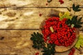 Ripe rowan berries and cherry plum fruits on round plate Royalty Free Stock Photo