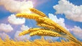 ripe wheat spikelets on field at fine summer day . computer generated nature 3D illustration