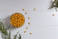 Ripe sea buckthorn berries in a glass bowl with several branches.