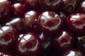 Ripe shiny garden cherries closeup