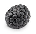 Ripe single blackberry isolated on a white.