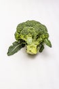 Ripe Single Broccoli. Fresh Whole Head Of Cabbage, Green Leaves.  On White Background