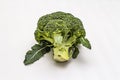 Ripe single broccoli. Fresh whole head of cabbage, green leaves. on white background