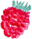 Ripe single raspberry hand-drawn with watercolor strokes