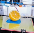 Ripe slice of lemon citrus fruit. 3d printer of the device during the processe.