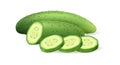 Ripe sliced cucumber 3d