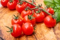 Ripe small round sweet red cherry tomatoes close up Royalty Free Stock Photo