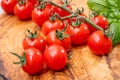 Ripe small round sweet red cherry tomatoes close up Royalty Free Stock Photo