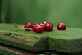 Ripe sour cherry Royalty Free Stock Photo