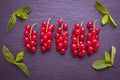 Ripe with sourness red currant berry and mint leaves Royalty Free Stock Photo