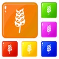 Ripe spica icons set vector color